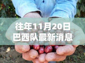 巴西隊最新動態(tài)與小巷探秘，揭秘背后秘密與最新消息