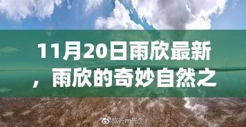花開(kāi)無(wú)言 第17頁(yè)