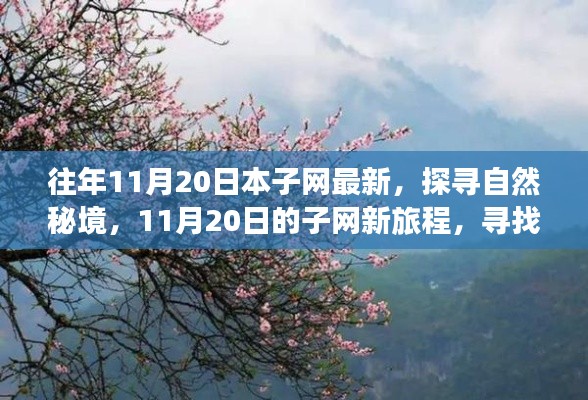 往年11月20日本子網(wǎng)最新，探尋自然秘境，11月20日的子網(wǎng)新旅程，尋找內(nèi)心的桃花源