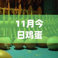 11月雞蛋價格最新行情解析，多方觀點交織的思考