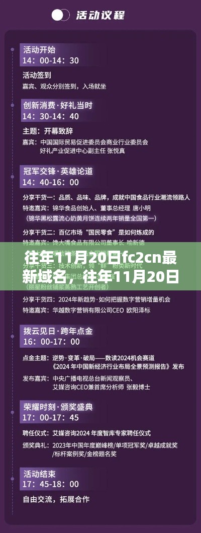 往年11月20日FC2CN域名更新，解析與觀點(diǎn)闡述