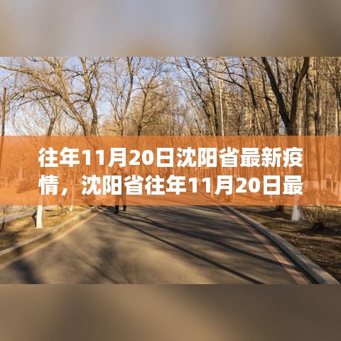 沈陽歷年11月20日疫情概況及防控進展詳解，最新動態(tài)與防控要點全解析