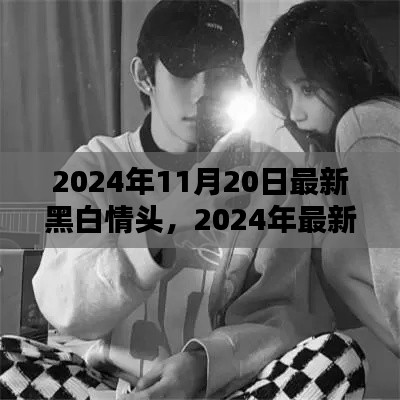 2024年最新黑白情頭評(píng)測(cè)，特性、使用體驗(yàn)與目標(biāo)用戶深度分析