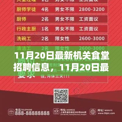 最新機關(guān)食堂招聘信息詳解，11月20日發(fā)布的全解析報告