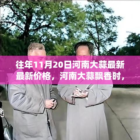 河南大蒜價格更新與一場自然美景的心靈之旅，大蒜飄香時節(jié)的探尋