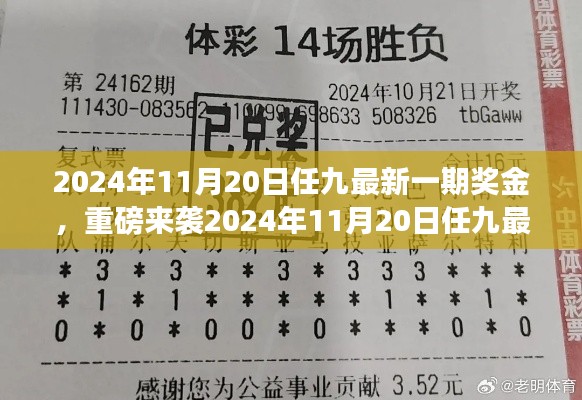 揭秘2024年11月20日任九最新一期獎(jiǎng)金揭曉，財(cái)富密碼大解密！