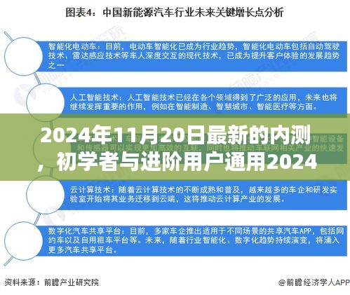 初學(xué)者與進階用戶通用，最新內(nèi)測任務(wù)完成指南（2024年11月20日版）