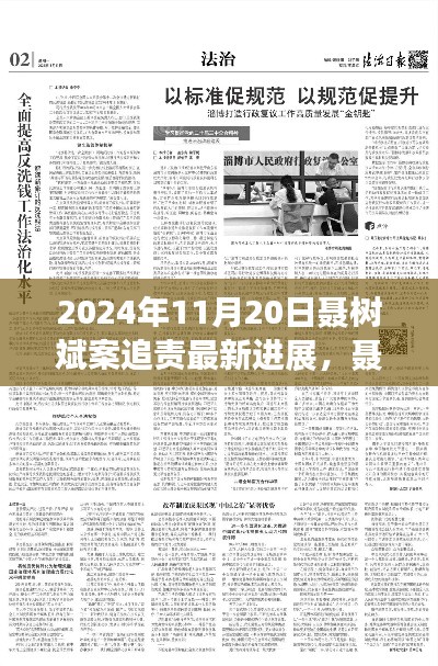 聶樹斌案追責(zé)最新進(jìn)展深度解析，2024年11月20日追責(zé)進(jìn)展及評(píng)測(cè)
