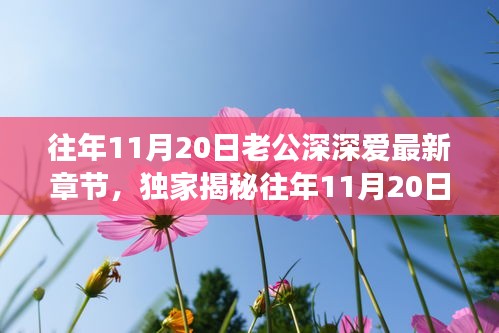 往年11月20日老公深情與高科技融合，全新智能伴侶揭秘，顛覆想象！
