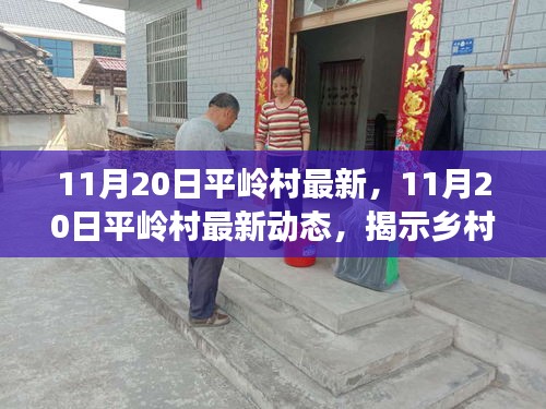 11月20日平嶺村最新，11月20日平嶺村最新動態(tài)，揭示鄉(xiāng)村發(fā)展的時代脈搏