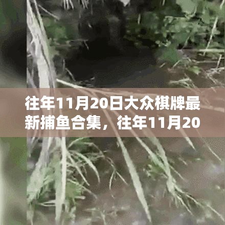 往年11月20日大眾棋牌捕魚盛宴，最新合集與攻略一網(wǎng)打盡！