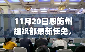 恩施州組織部最新任免動態(tài)解析及用戶群體分析，特性、體驗(yàn)與競品對比報(bào)告