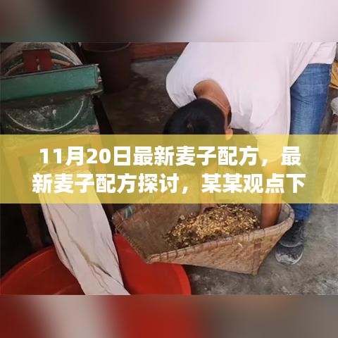 最新麥子配方探討，某某觀點下的分析與個人立場分享（11月20日更新）