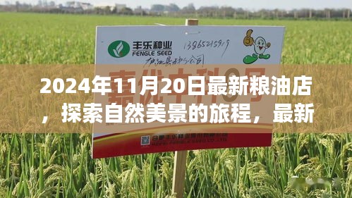 探索自然美景的旅程，最新糧油店與內(nèi)心的寧靜時光