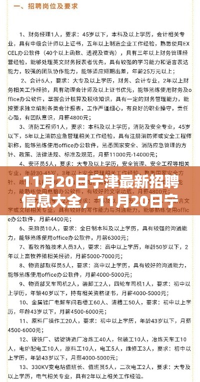 11月20日寧津最新招聘信息匯總，全面解讀招聘平臺特性與體驗