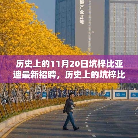 坑梓比亞迪招聘高峰日揭秘，探尋歷史招聘足跡下的11月20日