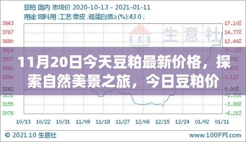 啟程尋找內心平和，今日豆粕最新價格與自然美景之旅的寧靜故事