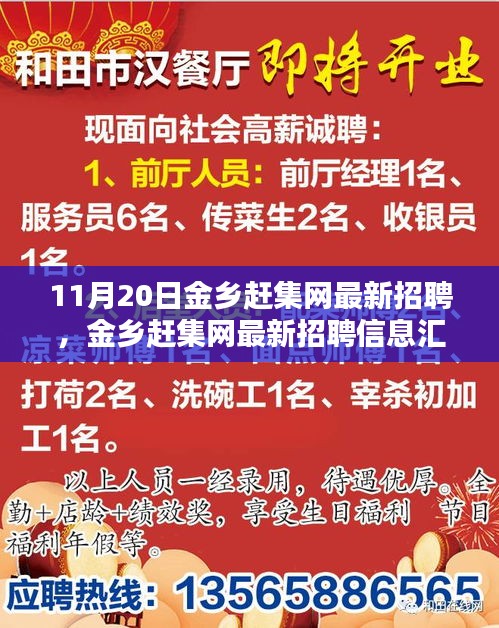 11月20日金鄉(xiāng)趕集網最新招聘匯總，熱點崗位解析與招聘信息