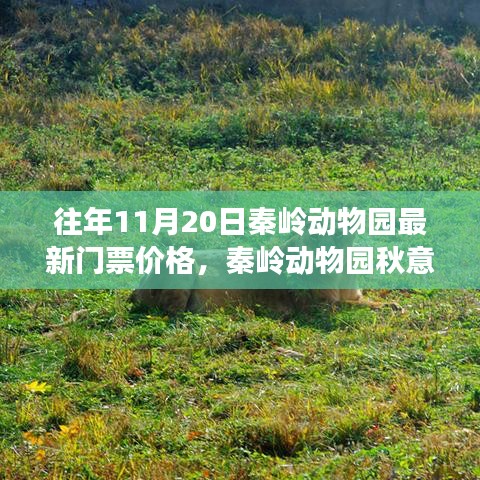 秦嶺動物園秋意濃時啟幕，探尋自然美景之旅與最新門票價格發(fā)布！