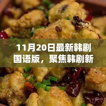 11月20日最新韓劇國(guó)語(yǔ)版，聚焦韓劇新風(fēng)尚，11月20日最新韓劇國(guó)語(yǔ)版深度解析
