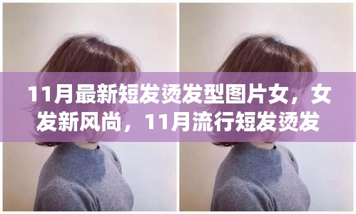 11月流行女發(fā)短燙發(fā)，全新風(fēng)尚與全攻略圖片欣賞