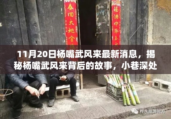 揭秘楊嘴武風(fēng)來背后的故事，小巷深處的獨(dú)特風(fēng)味（最新消息）