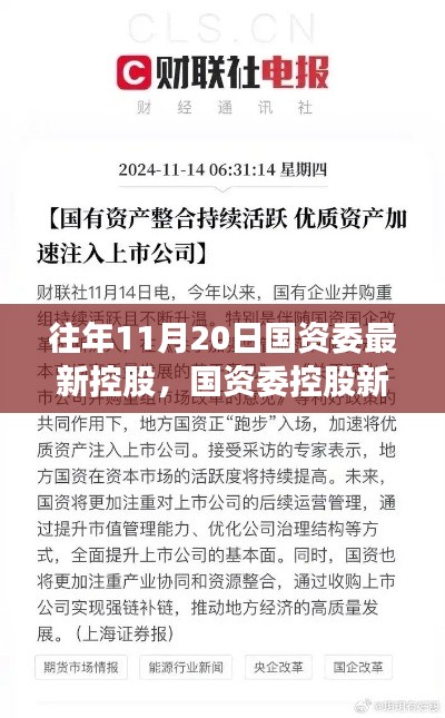 揭秘，國(guó)資委控股新紀(jì)元背后的重磅事件與影響，歷年11月20日的回顧與展望