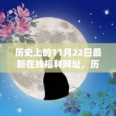 歷史上的11月22日與最新在線福利網(wǎng)址，多方觀點(diǎn)深度探析