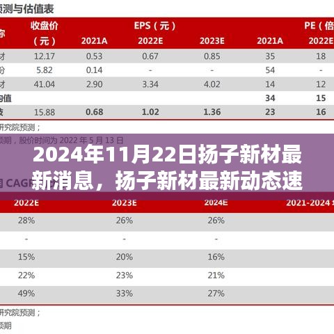 2024年11月22日揚(yáng)子新材最新消息，揚(yáng)子新材最新動(dòng)態(tài)速遞，2024年11月22日的三大看點(diǎn)