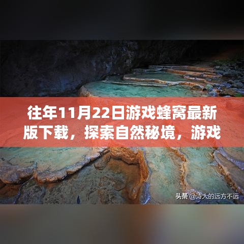 游戲蜂窩帶你探索自然秘境，最新下載，心靈平靜之旅