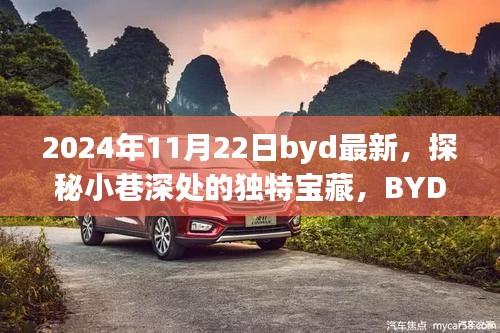 探秘小巷深處的獨特寶藏，BYD最新隱藏版特色小店揭秘（2024年11月22日）
