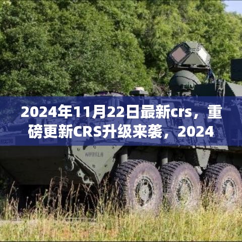 重磅更新CRS升級來襲，解讀最新政策與應(yīng)對策略，2024年CRS新動向解析
