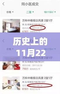 歷史上的11月22日午夜頻道最新福利宅女，歷史上的午夜頻道，宅女逆襲，自信與成就感的魔法時(shí)刻
