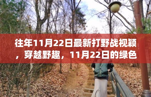 往年11月22日最新打野戰(zhàn)視穎，穿越野趣，11月22日的綠色冒險之旅，尋找內(nèi)心的寧靜與平和