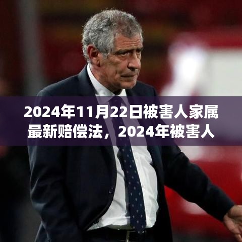 深度解讀2024年被害人家屬賠償法，背景、進展與影響