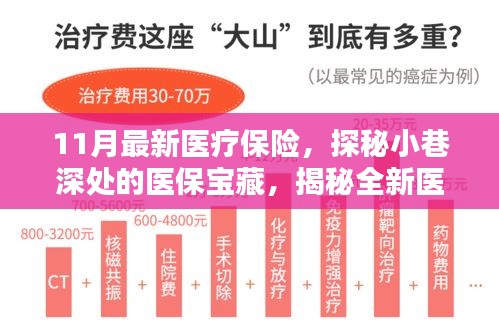 探秘醫(yī)保寶藏，揭秘全新醫(yī)療保險特色小店，11月最新醫(yī)療保險深度解讀