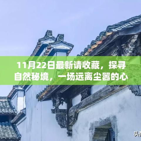 11月22日探尋自然秘境之旅，心靈啟程，珍藏美好瞬間