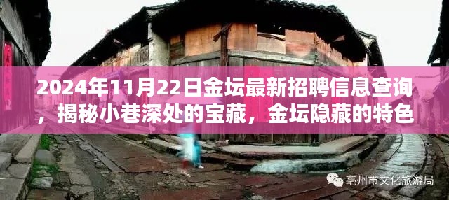 揭秘金壇隱藏特色小店與最新招聘信息奇遇記，2024年11月22日金壇招聘信息深度查詢