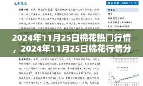 棉花行情深度解析，從入門到精通——2024年11月25日棉花行情指南