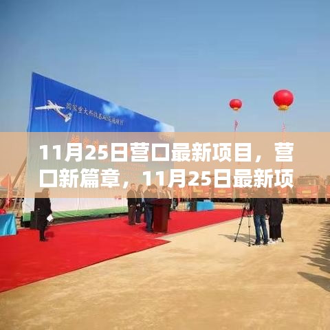 營(yíng)口新篇章，11月25日最新項(xiàng)目探秘與揭秘