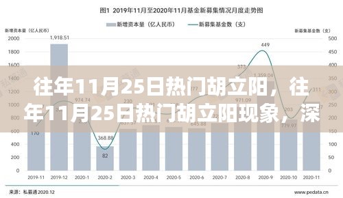 深度解析與觀點(diǎn)闡述，胡立陽現(xiàn)象——?dú)v年11月25日的熱門焦點(diǎn)