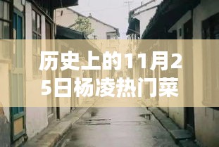 歷史上的楊凌菜價探秘，十一月二十五日小巷深處的時光味道與熱門菜價揭秘