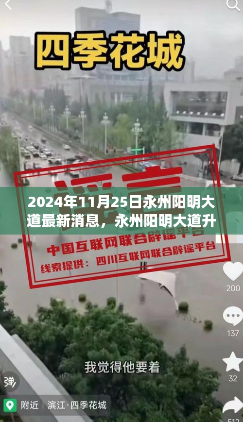 永州陽明大道升級改造最新進展深度評測，最新消息與評測報告（2024年11月25日）