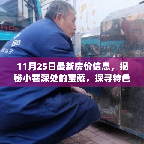 獨(dú)家揭秘，小巷深處的寶藏與特色小店背后的故事——最新房?jī)r(jià)信息報(bào)道