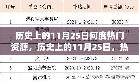 歷史上的11月25日，熱門資源的演變與影響