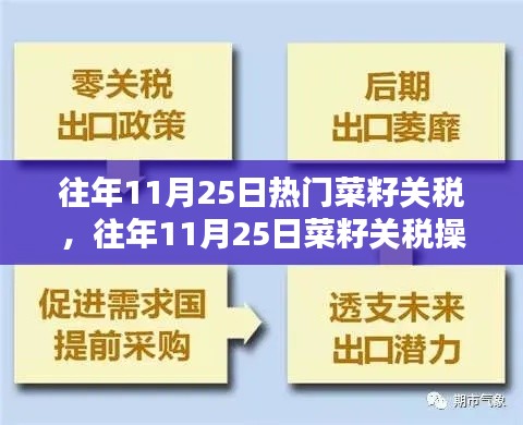 往年11月25日菜籽關(guān)稅操作詳解，入門到精通的步驟指南