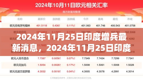 印度增兵動態(tài)深度解析與前沿觀察，最新消息及觀察分析（2024年11月25日）