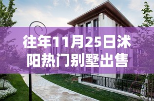 沭陽智能別墅，科技重塑居住品質(zhì)，未來居住新體驗熱賣中