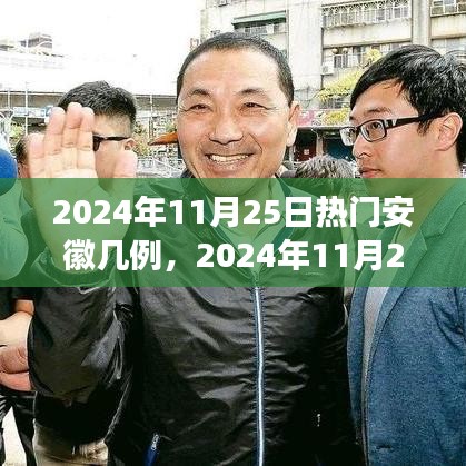 2024年11月25日安徽疫情最新熱點(diǎn)解讀，病例數(shù)量及防控措施