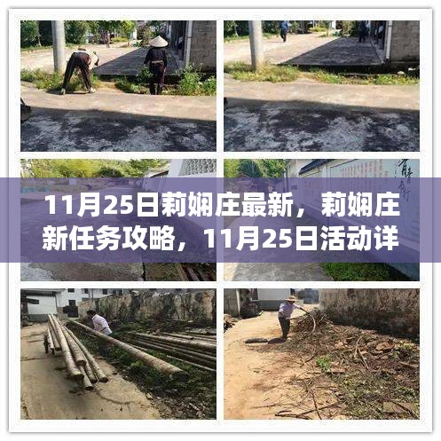 莉嫻莊新任務(wù)攻略與活動(dòng)詳解，11月25日指南，提升技能全解析